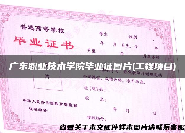 广东职业技术学院毕业证图片(工程项目)