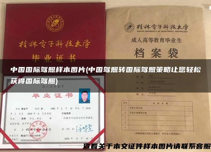中国国际驾照样本图片(中国驾照转国际驾照策略让您轻松获得国际驾照)
