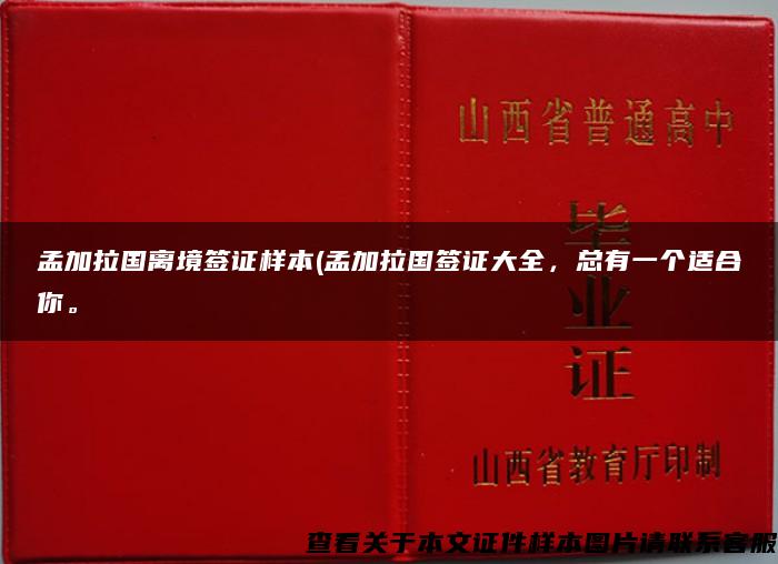 孟加拉国离境签证样本(孟加拉国签证大全，总有一个适合你。