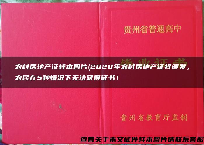 农村房地产证样本图片(2020年农村房地产证将颁发，农民在5种情况下无法获得证书！