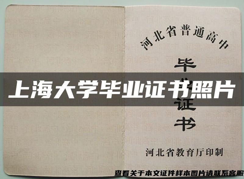上海大学毕业证书照片