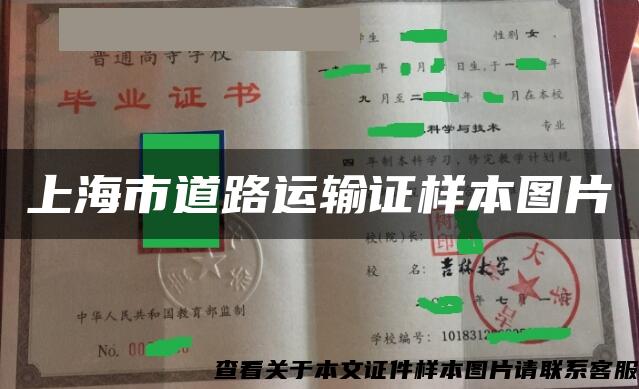上海市道路运输证样本图片