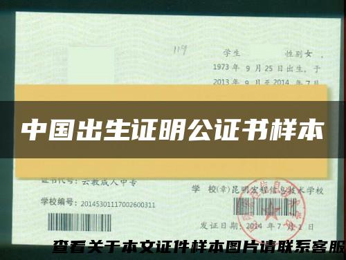 中国出生证明公证书样本