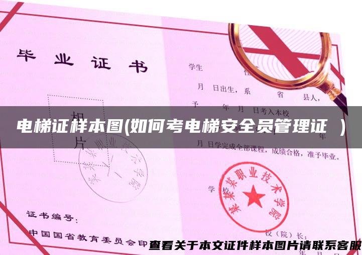 电梯证样本图(如何考电梯安全员管理证 ) 电梯证样本图(如何考电梯安全员管理证 )