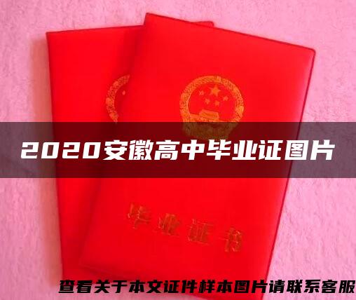 2020安徽高中毕业证图片