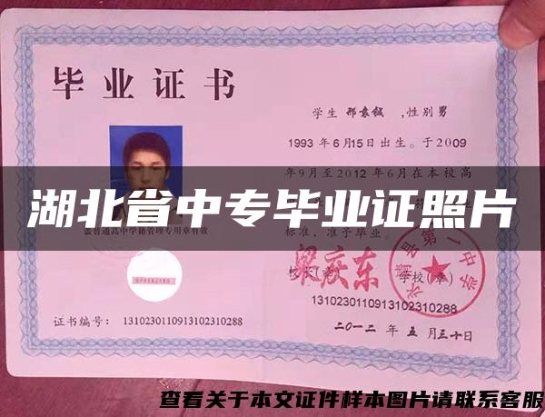 湖北省中专毕业证照片