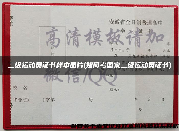 二级运动员证书样本图片(如何考国家二级运动员证书) 二级运动员证书样本图片(如何考国家二级运动员证书)