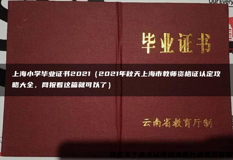 上海小学毕业证书2021（2021年秋天上海市教师资格证认定攻略大全，网报看这篇就可以了）