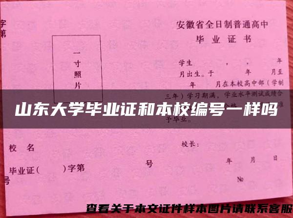 山东大学毕业证和本校编号一样吗