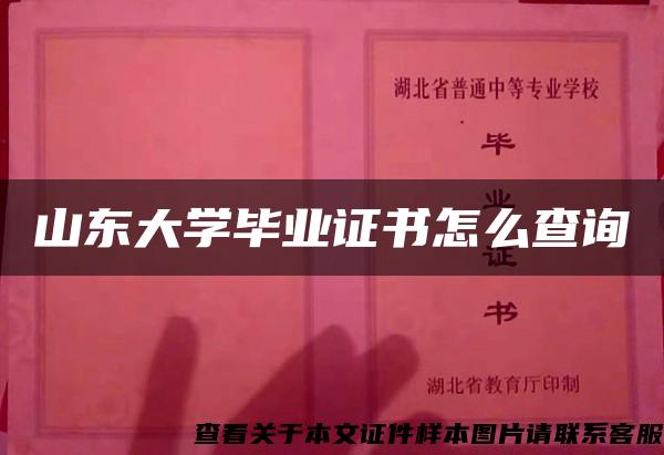 山东大学毕业证书怎么查询