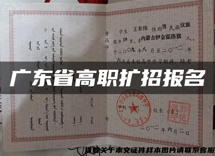 广东省高职扩招报名