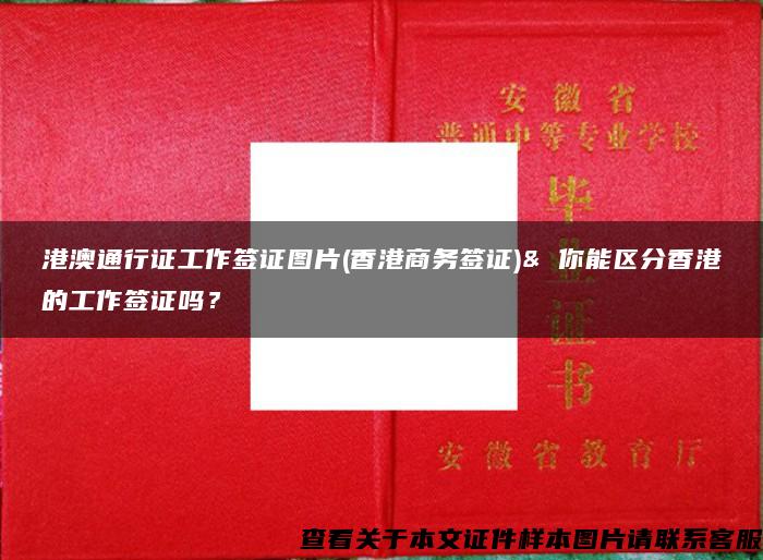 港澳通行证工作签证图片(香港商务签证)& 你能区分香港的工作签证吗？