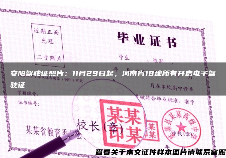 安阳驾驶证照片：11月29日起，河南省18地所有开启电子驾驶证