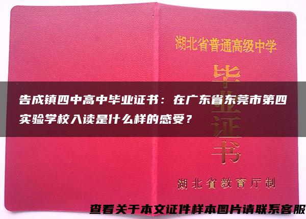 告成镇四中高中毕业证书：在广东省东莞市第四实验学校入读是什么样的感受？