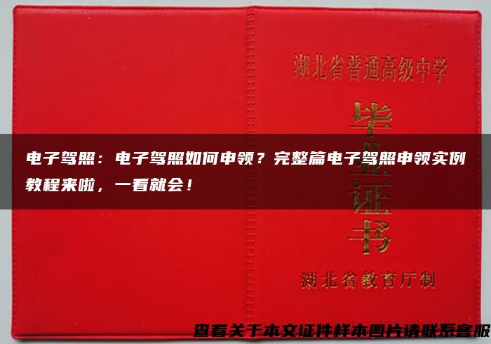 电子驾照:电子驾照如何申领?完整篇电子驾照申领实例教程来啦,一看就会! 电子驾照:电子驾照如何申领?完整篇电子驾照申领实例教程来啦,一看就会!