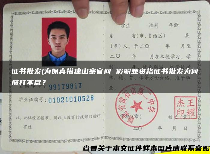 证书批发(为保真搭建山寨官网 假职业资格证书批发为何屡打不尽? 证书批发(为保真搭建山寨官网 假职业资格证书批发为何屡打不尽?