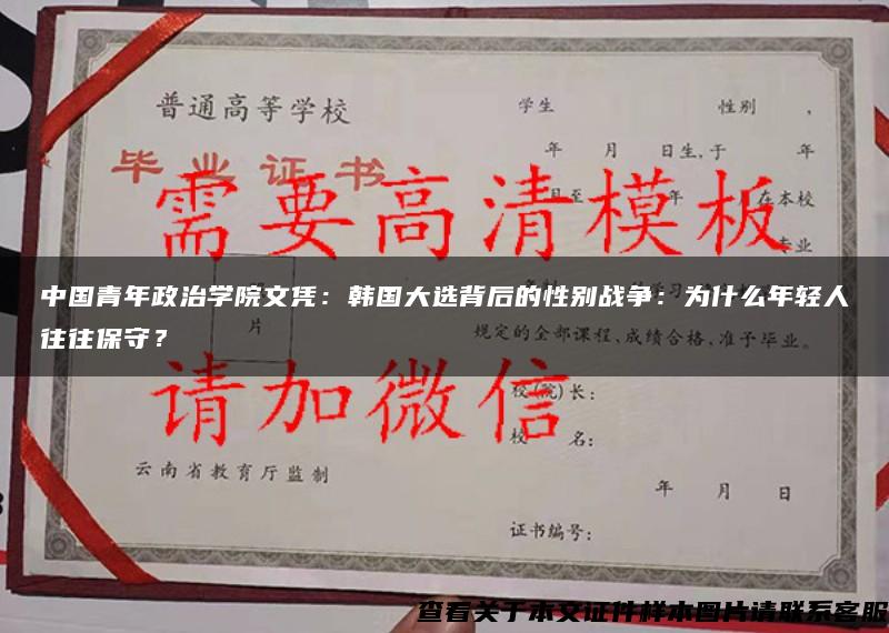 中国青年政治学院文凭:韩国大选背后的性别战争:为什么年轻人往往保守? 中国青年政治学院文凭:韩国大选背后的性别战争:为什么年轻人往往保守?