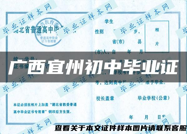 广西宜州初中毕业证