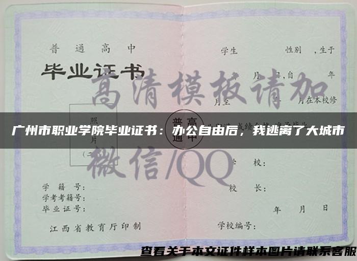 广州市职业学院毕业证书：办公自由后，我逃离了大城市