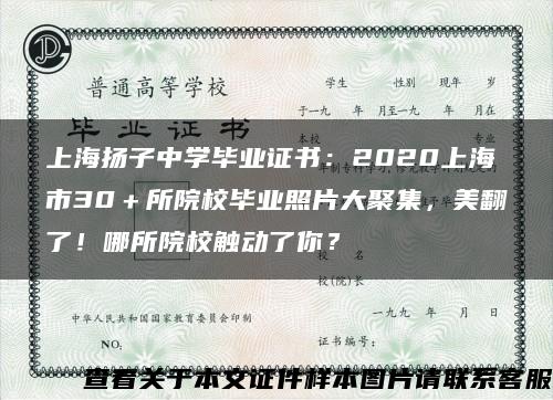 上海扬子中学毕业证书：2020上海市30＋所院校毕业照片大聚集，美翻了！哪所院校触动了你？
