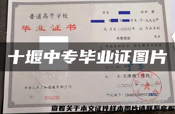 十堰中专毕业证图片