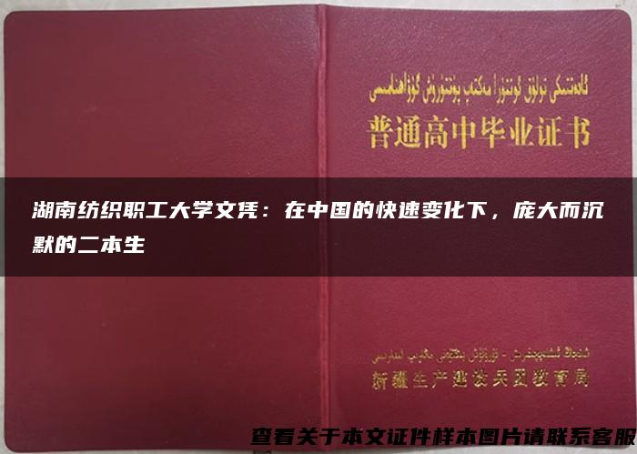湖南纺织职工大学文凭：在中国的快速变化下，庞大而沉默的二本生