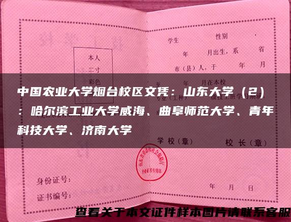 中国农业大学烟台校区文凭:山东大学(2):哈尔滨工业大学威海、曲阜师范大学、青年科技大学、济南大学 中国农业大学烟台校区文凭:山东大学(2):哈尔滨工业大学威海、曲阜师范大学、青年科技大学、济南大学