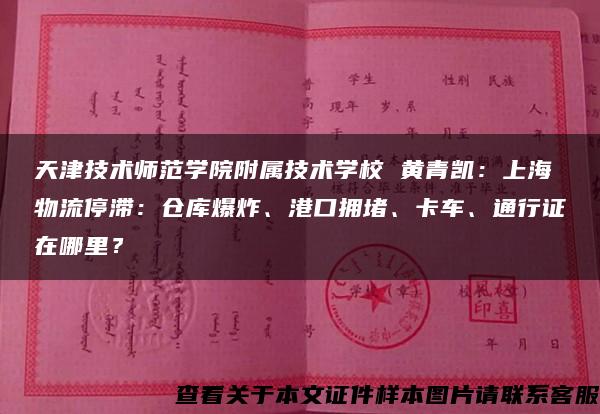 天津技术师范学院附属技术学校 黄青凯：上海物流停滞：仓库爆炸、港口拥堵、卡车、通行证在哪里？