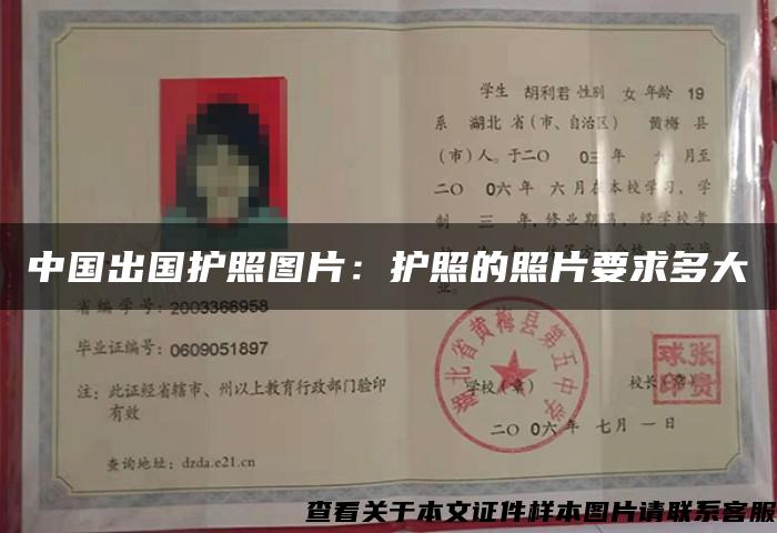 中国出国护照图片：护照的照片要求多大