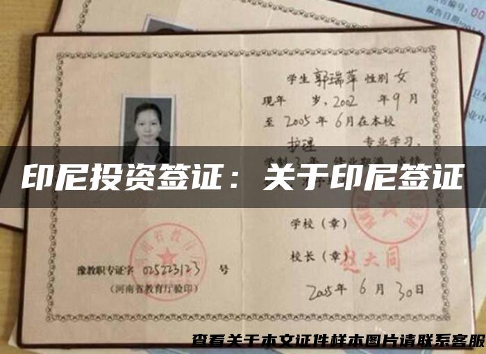 印尼投资签证：关于印尼签证