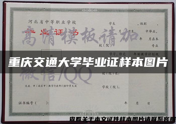 重庆交通大学毕业证样本图片