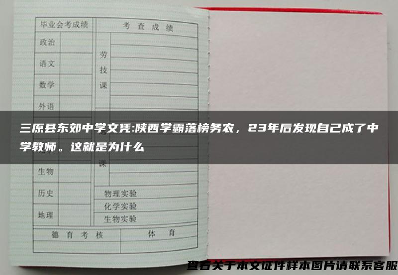 三原县东郊中学文凭:陕西学霸落榜务农，23年后发现自己成了中学教师。这就是为什么