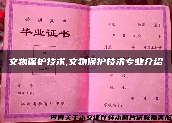 文物保护技术,文物保护技术专业介绍