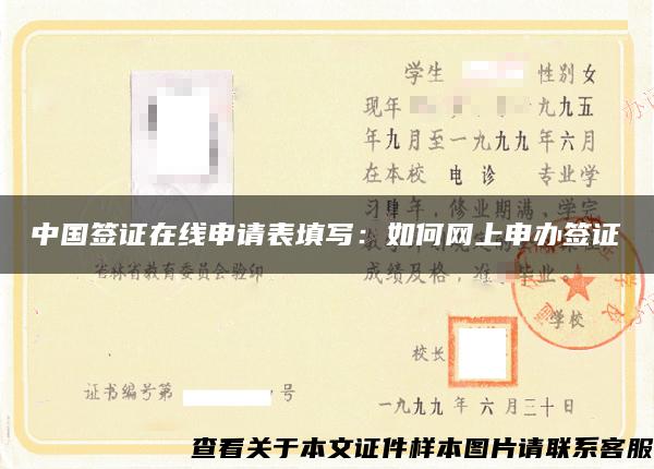 中国签证在线申请表填写：如何网上申办签证