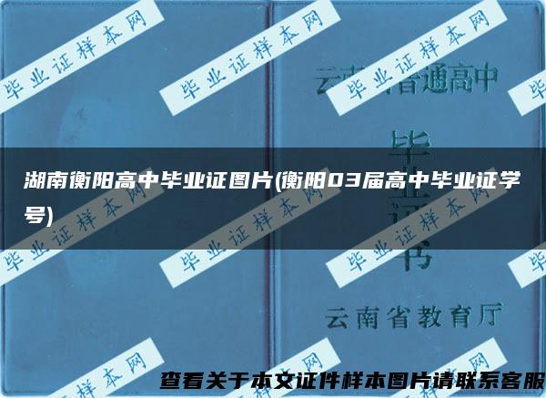 湖南衡阳高中毕业证图片(衡阳03届高中毕业证学号)