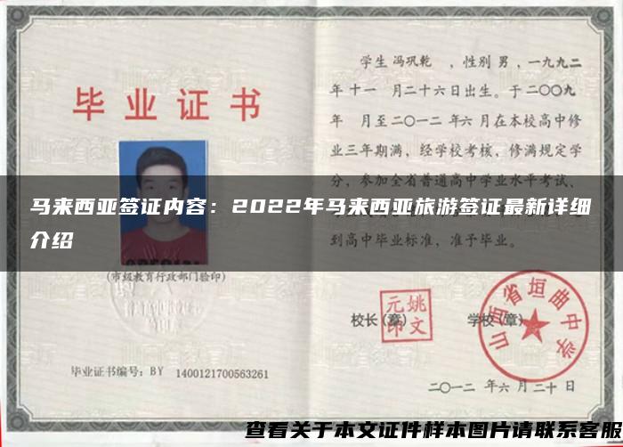 马来西亚签证内容：2022年马来西亚旅游签证最新详细介绍