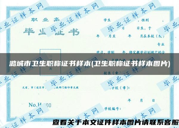 潞城市卫生职称证书样本(卫生职称证书样本图片)