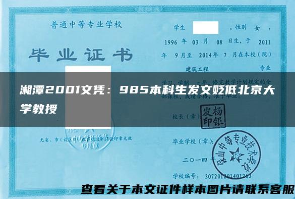 湘潭2001文凭：985本科生发文贬低北京大学教授