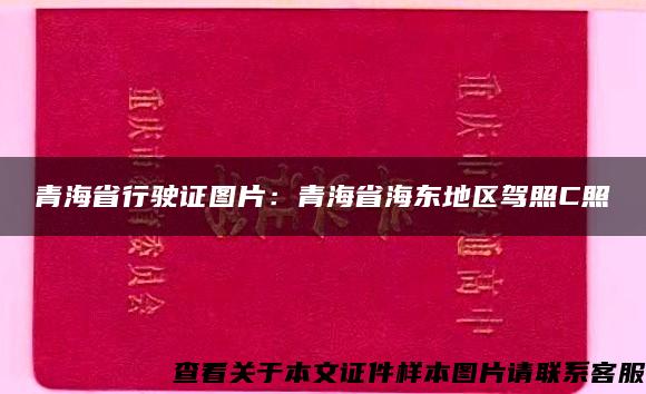 青海省行驶证图片：青海省海东地区驾照C照