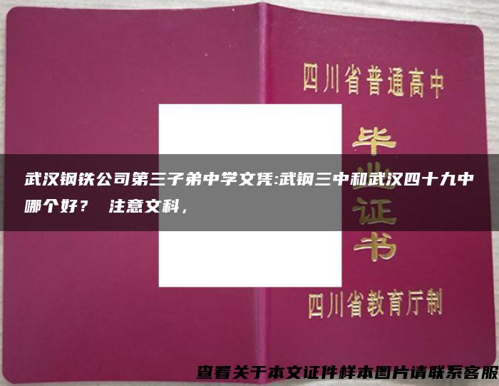 武汉钢铁公司第三子弟中学文凭:武钢三中和武汉四十九中哪个好？ 注意文科，
