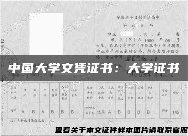 中国大学文凭证书：大学证书