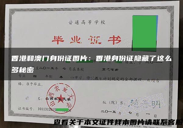 香港和澳门身份证图片：香港身份证隐藏了这么多秘密