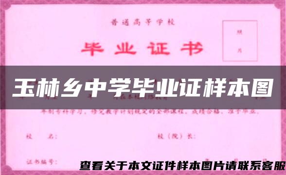 玉林乡中学毕业证样本图