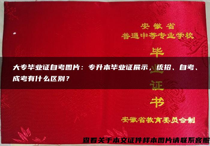 大专毕业证自考图片：专升本毕业证展示，统招、自考、成考有什么区别？