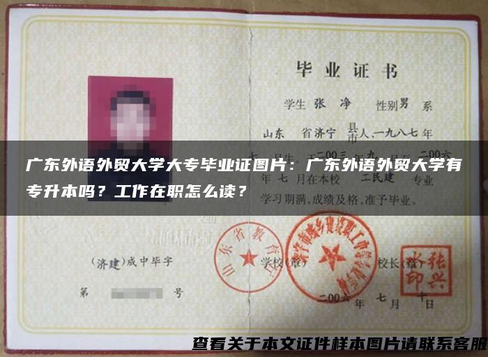 广东外语外贸大学大专毕业证图片：广东外语外贸大学有专升本吗？工作在职怎么读？