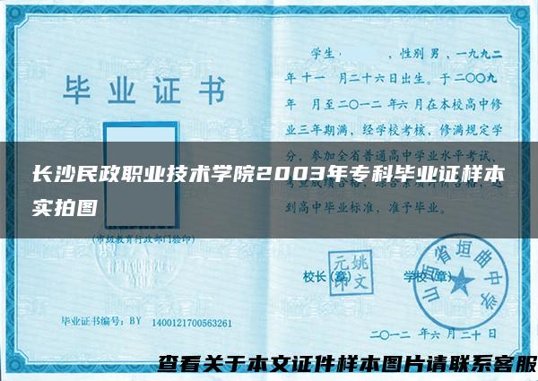 长沙民政职业技术学院2003年专科毕业证样本实拍图