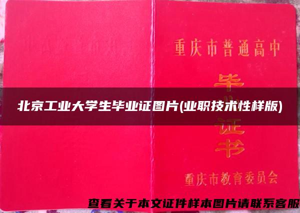 北京工业大学生毕业证图片(业职技术性样版)