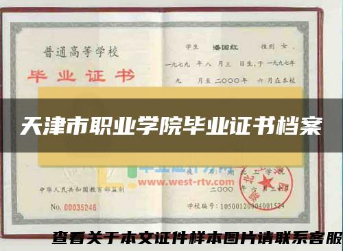天津市职业学院毕业证书档案