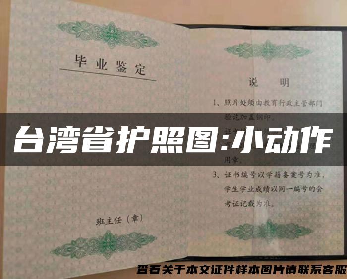 台湾省护照图:小动作