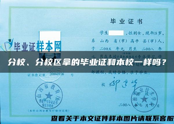 分校、分校区拿的毕业证和本校一样吗？